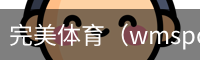 完美体育，WMsports，完美体育官方，完美体育平台，完美体育下载